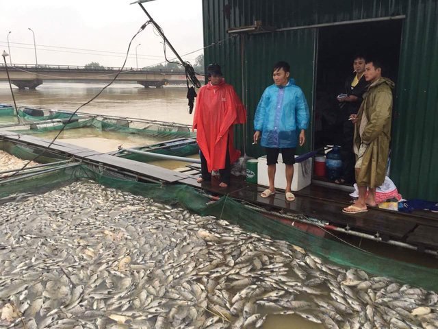 Thừa[-]Thiên[-]Huế:[-]Hàng[-]trăm[-]tấn[-]cá[-]bè[-]chết[-]trắng[-]sông,[-]người[-]dân[-]khóc[-]nức[-]nở